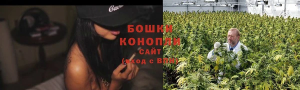 трава Алзамай